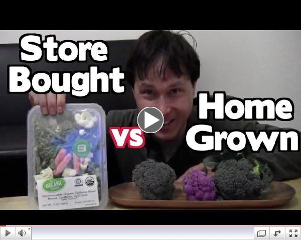 Home Grown vs Store Bought - Which is Best and Why