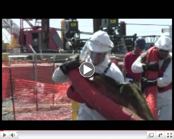 Trailer: Drill, Spill, Repeat?
