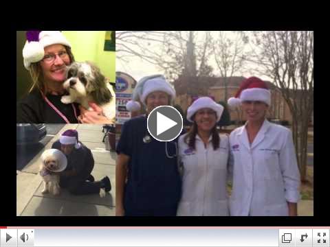 The Village Vets Holiday Message and Video