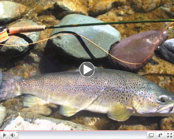 Fly Fishing New Zealand - Fly Casting - Fly Design - Interview with NZ Fly Fishing Legend Stu