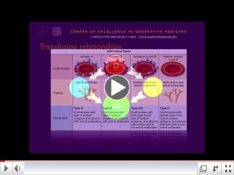Personalized Nutrition What Your Blood Type Means for Your Health with Dr Peter D'Adamo, ND
