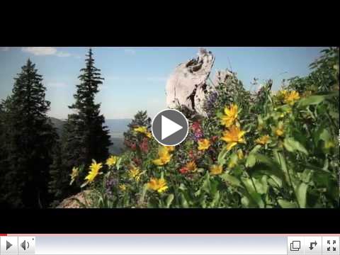 Color Change in Grand Teton: Episode 3 of the From Valley to Peak series