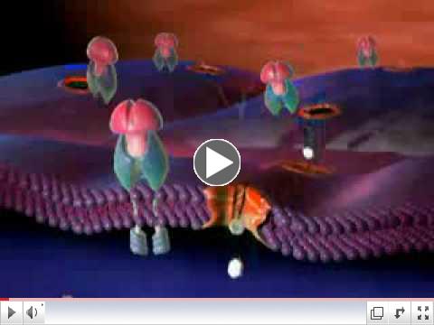 Diabetes Animation