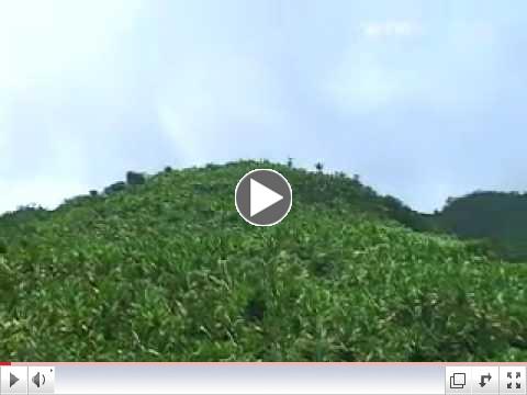 El Yunque National Forest