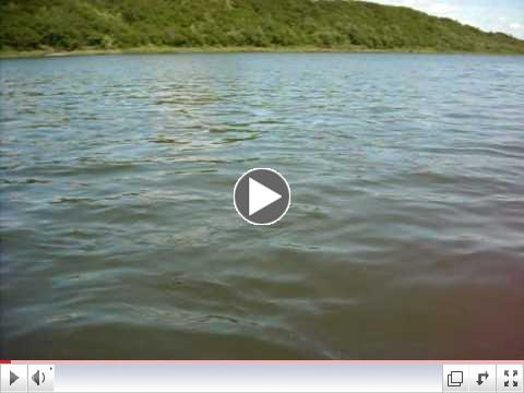 Jakes Alaska Nushagak King Fishing