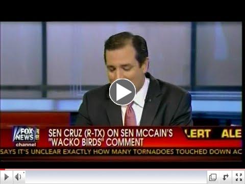 Sen Cruz (R-TX) On Plan To Abolish The IRS In Wake Of Scandal & Responds To