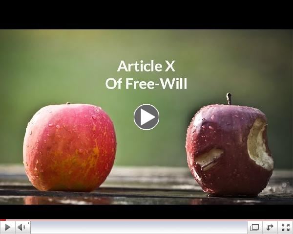 Article 10: of Free-Will
