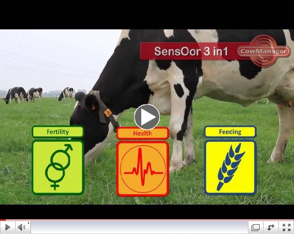 CowManager SensOor System detects heat, rumination/eating behavior and disease