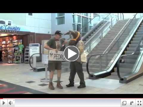 Pedro Arrives in Madison for the 25th Baraboo Circus Heritage