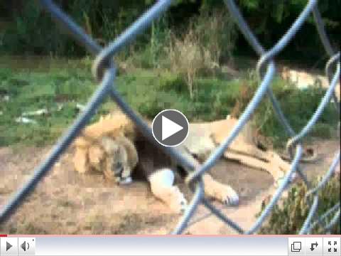 Campaign Against Canned Hunting