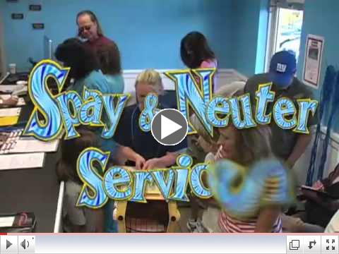 30 CSNC Commercial