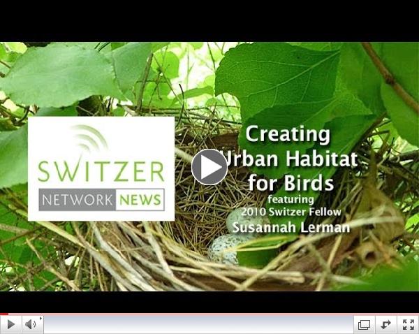Creating Urban Habitat for Birds with Switzer Fellow Susannah Lerman