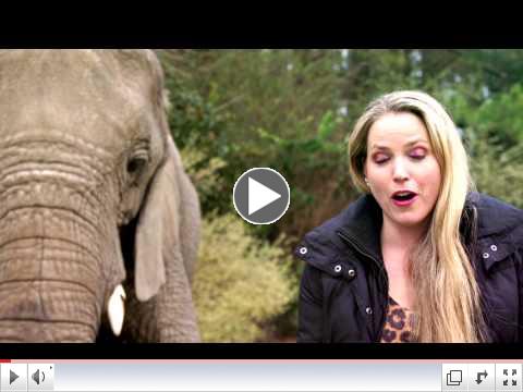 Elephant Predicts 2015 Super Bowl Winner