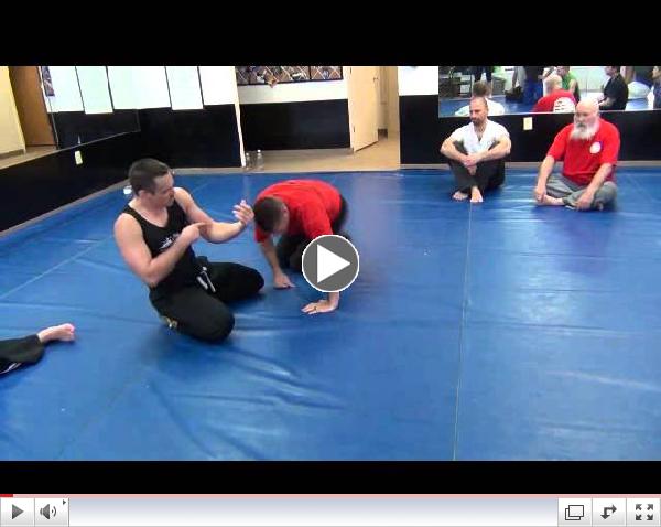 Reverse Lever Tips
