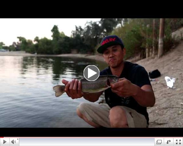 Bait works so good, should be ILLEGAL to use. Watch in HD