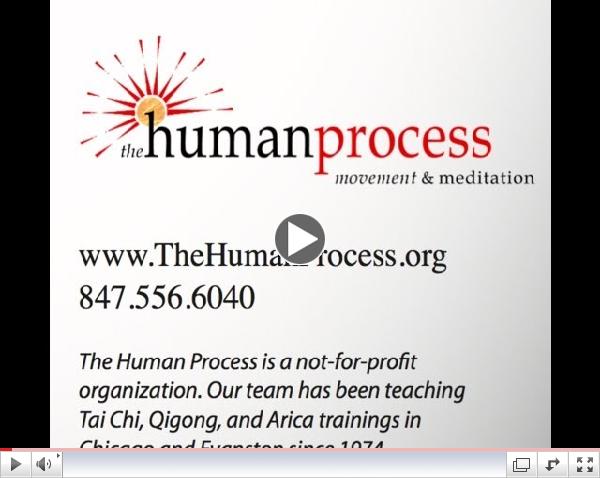 Chicago World Tai Chi Day