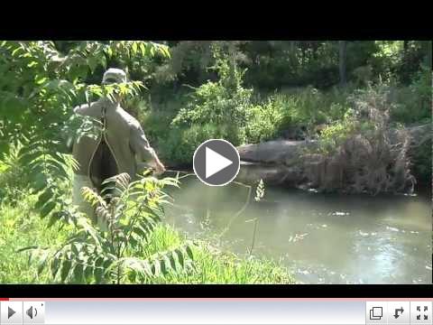 PHW11 1128YT.mov
