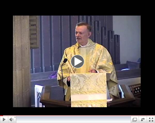 St  Francis of Assisi Festival Sunday