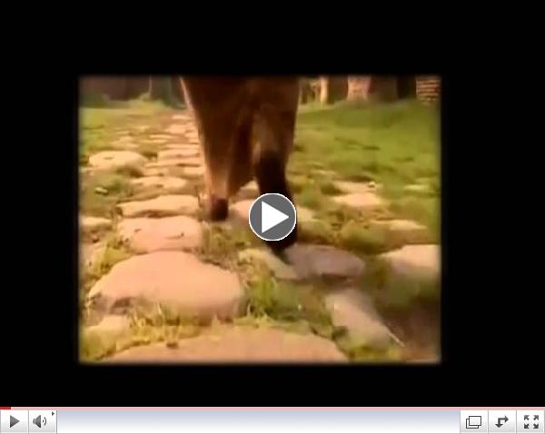 PAUL . . . and me - FROM ISLAM TO CHRIST