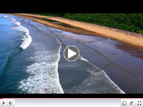 Moving Art - The Other Coast