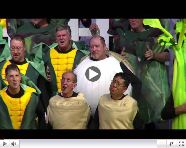 2013 International Gold Medal ChorusToronto Northern Lights