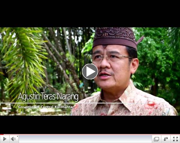 Forests - The Heart Of A Green Economy