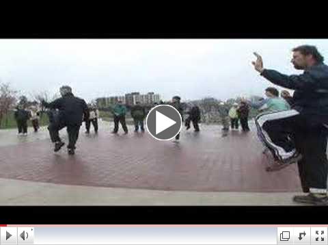 World Tai Chi Day Burlington Canada - TaiChi QiGong