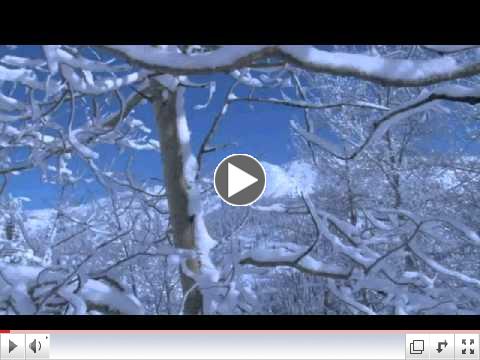 Cat Ski Teaser