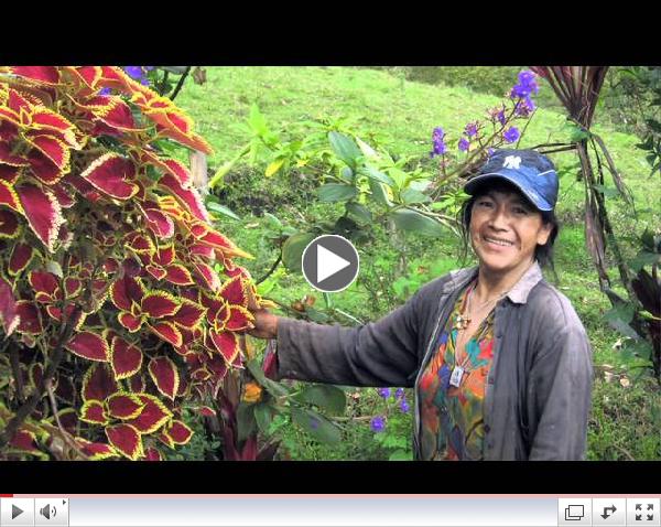 Introduction to Fair Trade Judaica (FTJ)