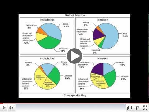 Nutrient Pollution Solutions