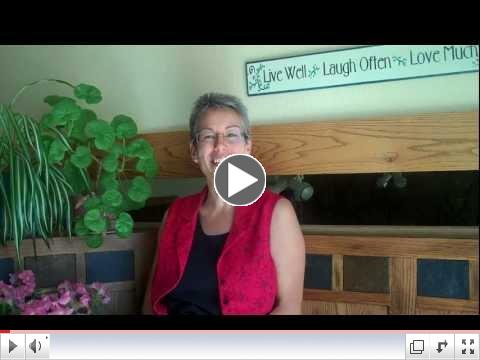 DiSC and Discipleship   A Step by Step Program Introduction