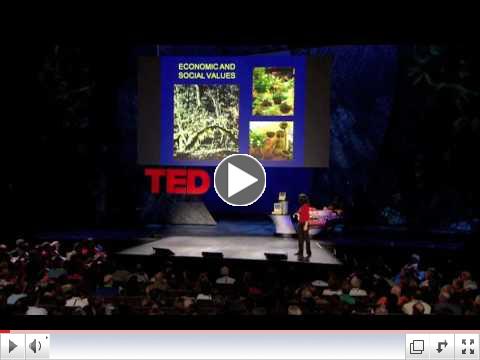 Nalini Nadkarni explores canopy worlds