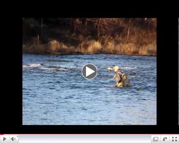 Shawn Crocker on upper Naval Run riffle Pool riffle nymphing