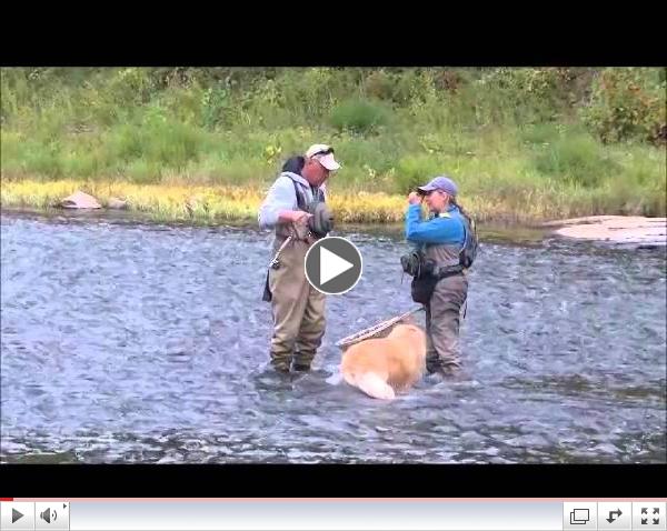 John Strickler Fishing Pine Creek October 7, 2014 with Juli Szur