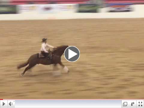 Freddie & Trucker - Para Reining