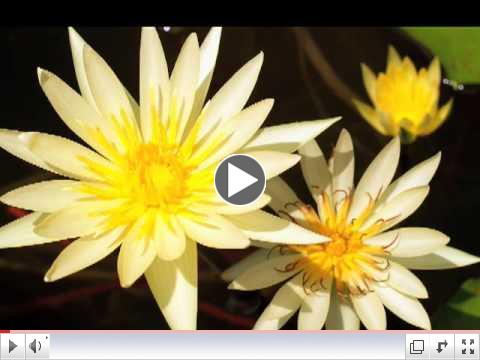 Relaxation Meditation