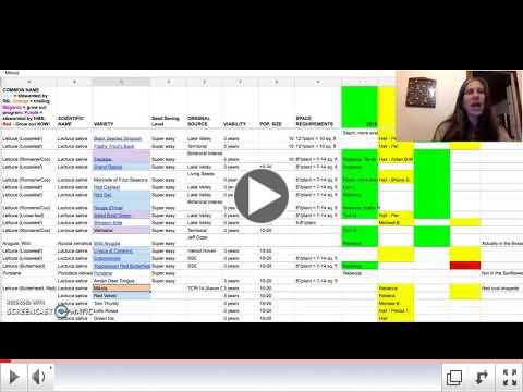 Stewarding Seeds: Lettuce