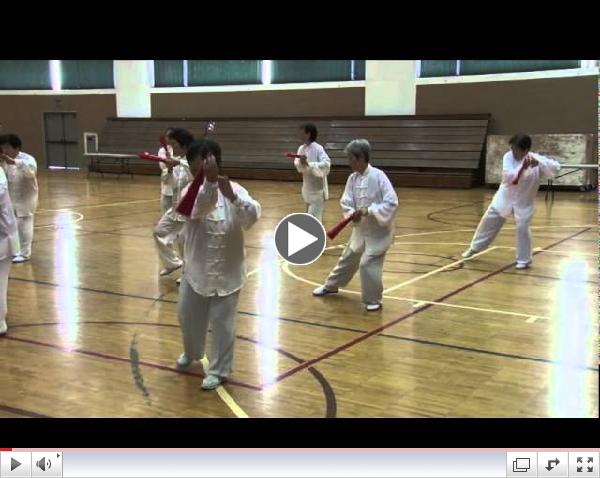 Tai Chi Fan at Honolulu Martial Arts Festival 2012.