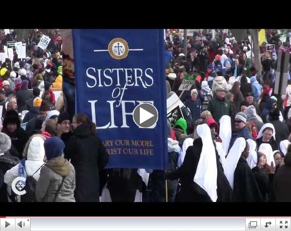 March for Life 2014
