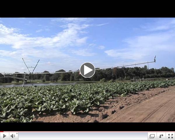 Tobacco Growers Learn About Research, Management Practices On Annual Tour