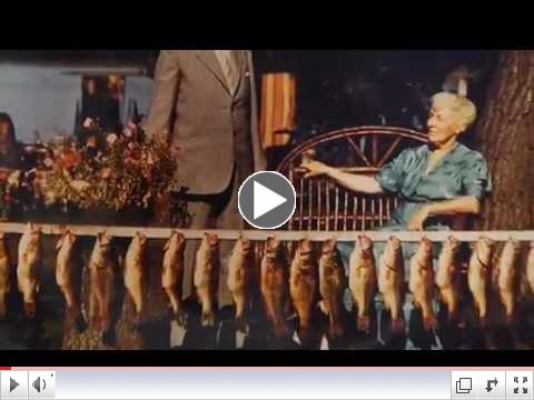 Postcards: 1950's Tourism