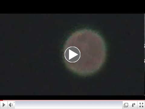 URGENT -- This Is NOT Venus So What Is It? Getting Closer To Earth- Ison A Distraction?