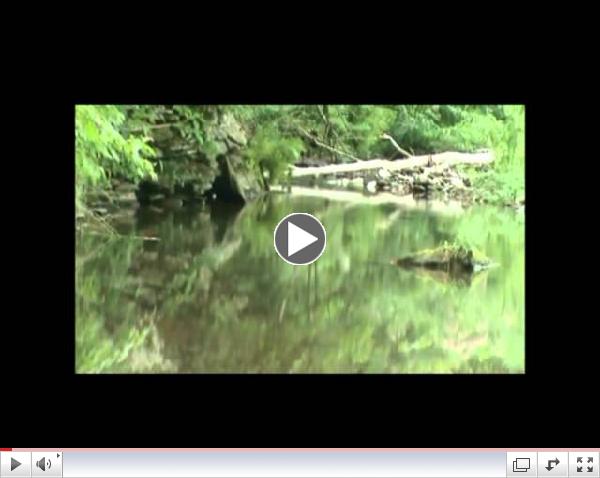 Pine Tree pool - Slate Run