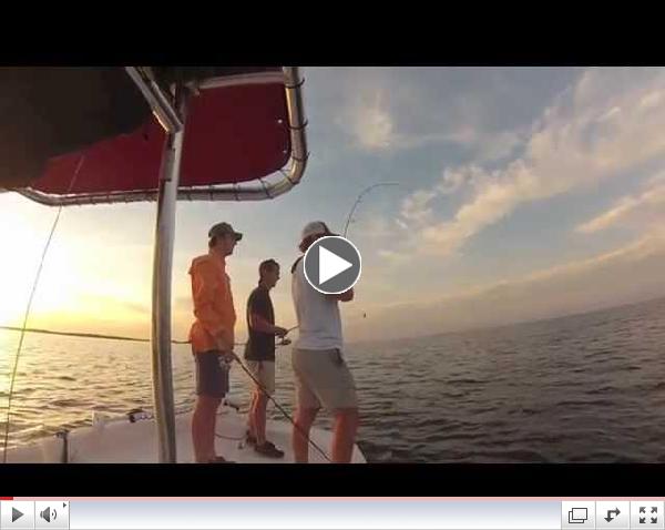 Fishing the grass flats in Steinhatchee, Fl.