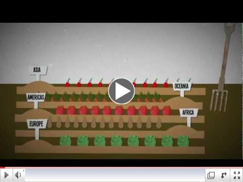 What is food insecurity? An explanation