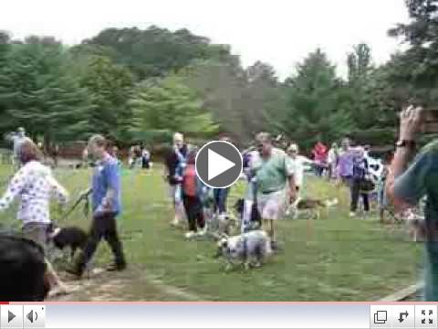 NVSR Picnic 2013 - Adopter Parade