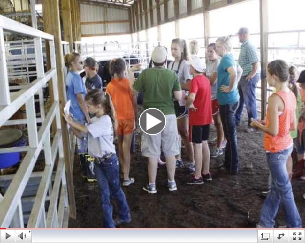 Simmental Field Day Video