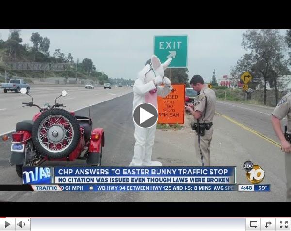 Easter Bunny gets pulled over by CHP in La Mesa