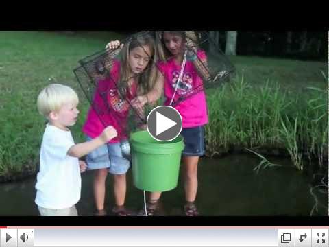 Collapsible Crayfish Trap from the Boundary Waters Catalog and Piragis