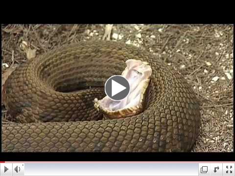 Expeditions with Patrick McMillan - 2009 Promo